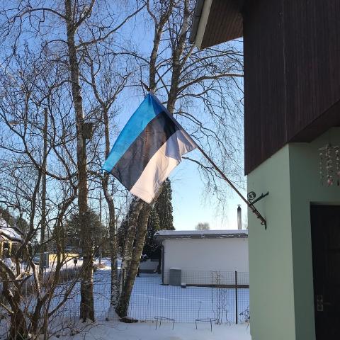 majalipp Eesti lipp