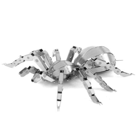101-vaatamisvaarsust-putukas-tarantula