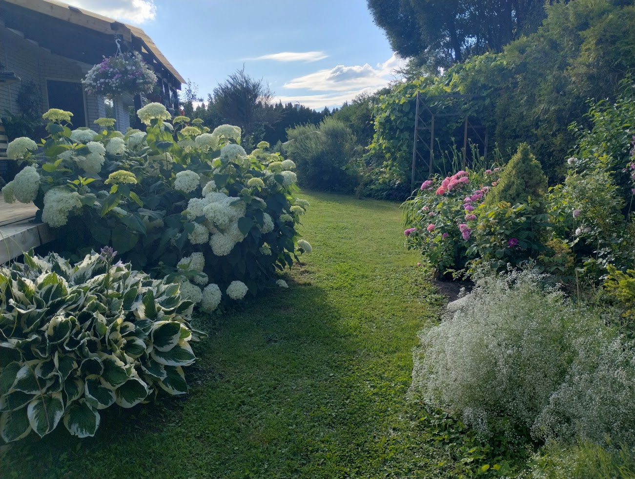 IMG_20240715_181714497_HDR